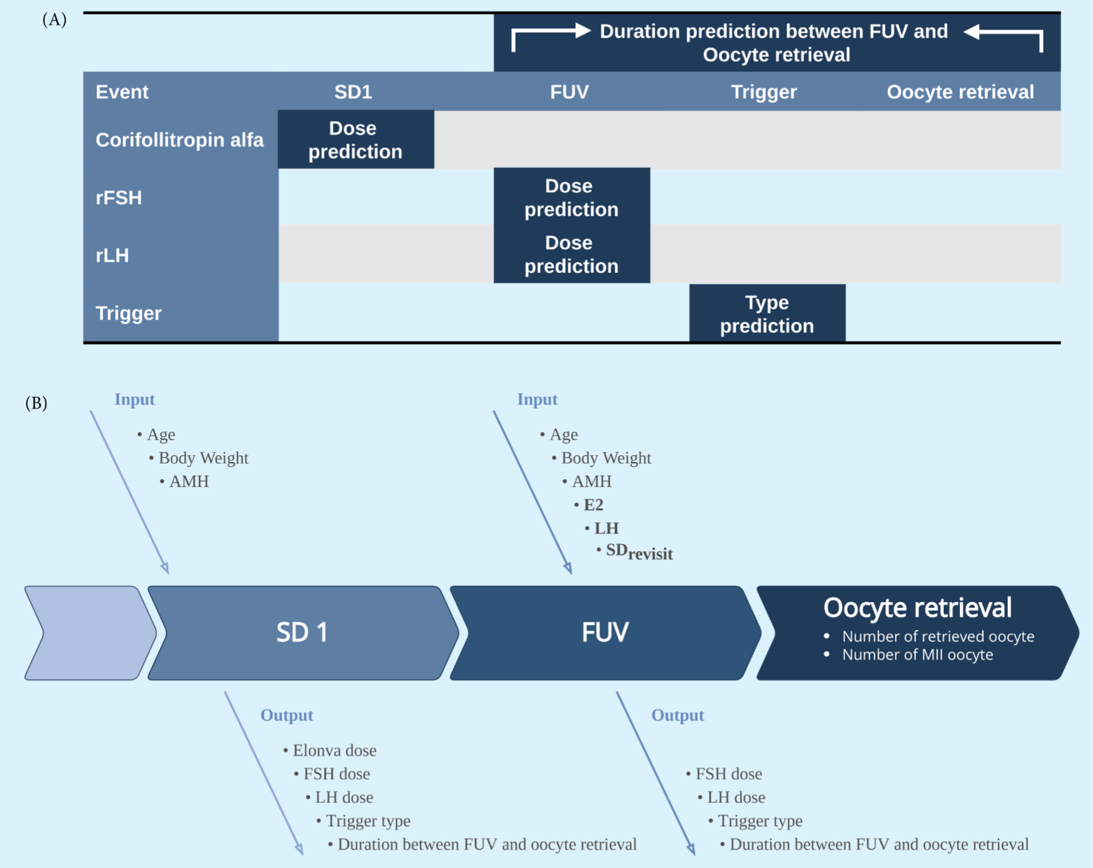 Using an Interpretable Machine Learning Model to Predict Corifollitropin Alfa Protocol